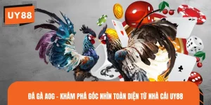 Đá Gà AOG - Khám Phá Góc Nhìn Toàn Diện Từ Nhà Cái UY88