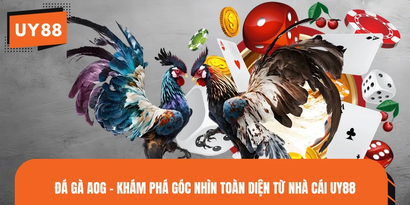 Đá Gà AOG - Khám Phá Góc Nhìn Toàn Diện Từ Nhà Cái UY88