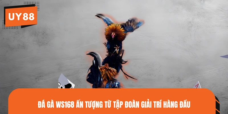 Đá gà WS168 ấn tượng từ tập đoàn giải trí hàng đầu