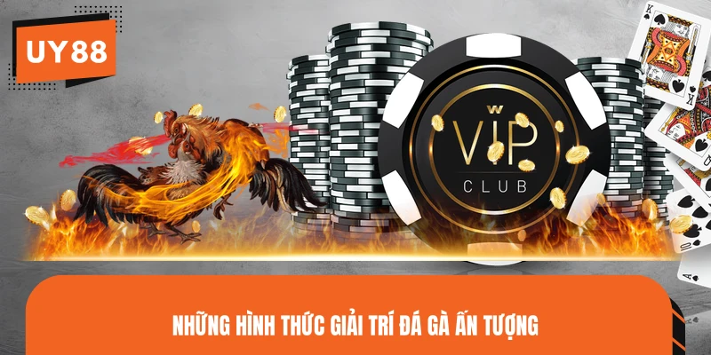 Những hình thức giải trí đá gà ấn tượng