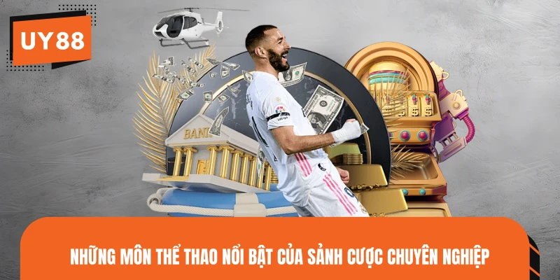 Những môn thể thao nổi bật của sảnh cược chuyên nghiệp